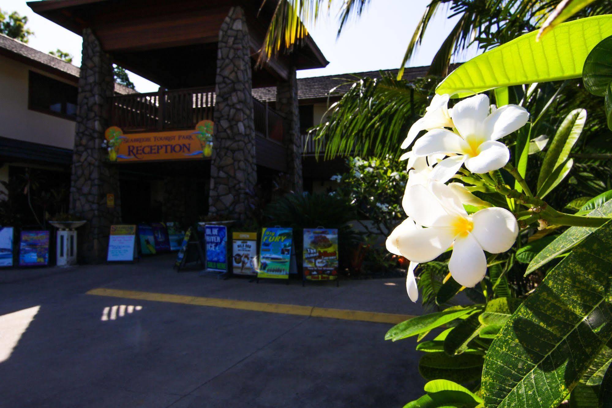 Nrma Airlie Beach Holiday Park Zewnętrze zdjęcie